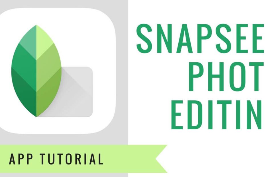 Do Professional Photographers Use Snapseed?