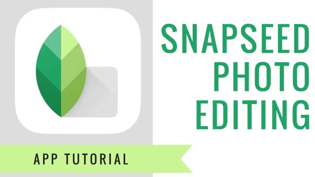 How to Use Google Snapseed Presets?